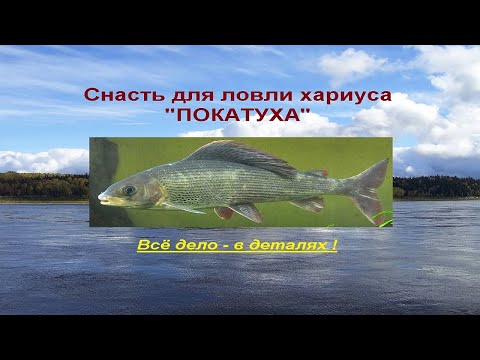 Видео: Снасть для ловли хариуса "Покатуха"