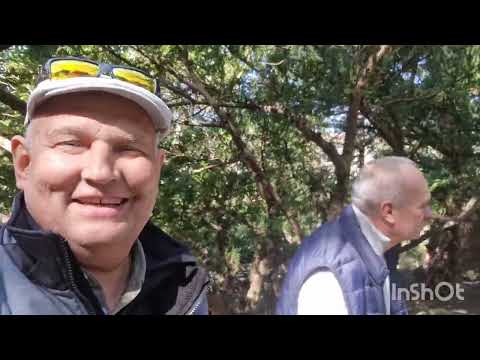 Видео: г.Валбжих(в гостях) Wałbrzysh 5-6.04.2025г.