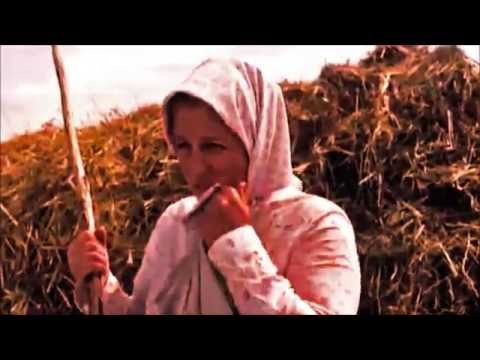 Видео: Федор и Марыся Все пучком