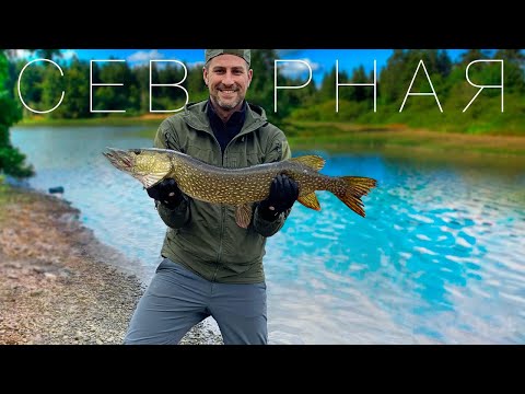 Видео: РЫБАЛКА на реке СЕВЕРНАЯ! Охота на ТАЙМЕНЯ! Туруханский район.