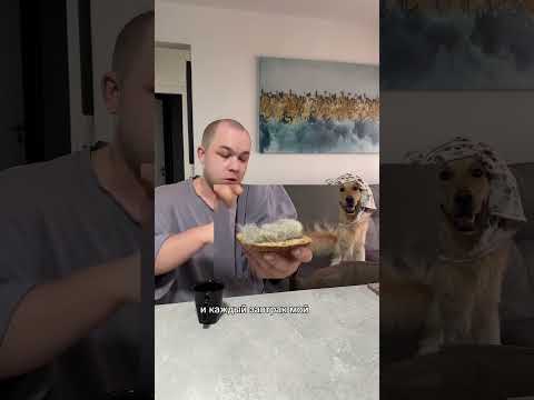 Видео: Что забыли? 🤣