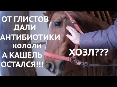 Видео: Кашель у лошади, который не проходит или опыт лечения ХОЗЛ