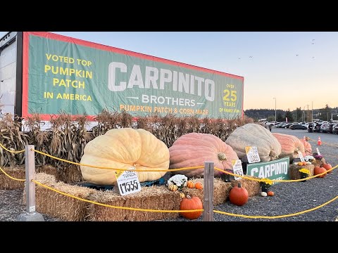 Видео: Базар . Carpinito Brothers! The Pumpkin Patch & Farm Fun Yard. 10/5/2025.