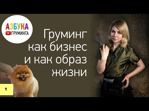 Видео: Как открыть салон для животных с нуля? Экскурсия по нашим собственным салонам.