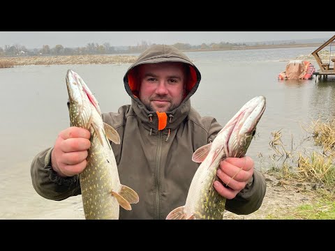 Видео: ЛОВЛЯ ЩУКИ НА ВОДОСХОВИЩІ! Рибалка в листопаді. Щука в Хрінниках