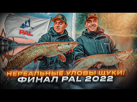 Видео: НЕРЕАЛЬНЫЕ РЕЗУЛЬТАТЫ ПО ЩУКЕ 2 ЭТАПА PAL! Финал РЫБОЛОВНОГО ТУРНИРА Pro Anglers League 2022