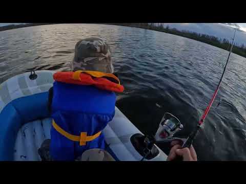Видео: Ловим Щуку на детской лодке 🤣#fishing #охотарыбалка #рыбалка #щука #рыбалканаозере  