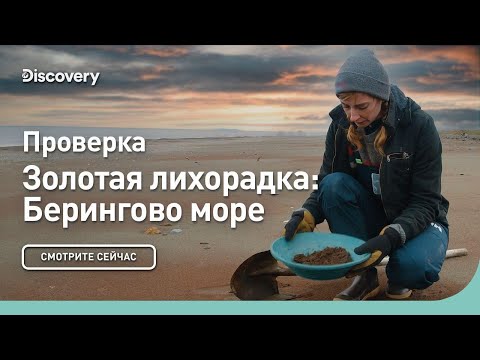 Видео: Проверка | Золотая лихорадка: Берингово море | Discovery