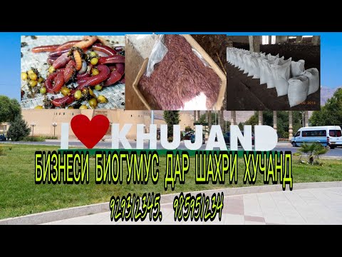Видео: Бизнеси биогумус дар шаҳри Хучанд. Ин корро хама карда метавонад? 929312345.