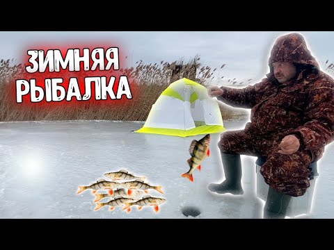 Видео: Зимняя РЫБАЛКА на ОКУНЯ/Первый ЛЁД