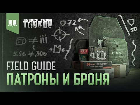 Видео: Field Guide #3: Патроны и Броня