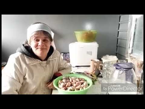 Видео: Сажаю чеснок / Отвечаю на комментарии / Жизнь в селе.