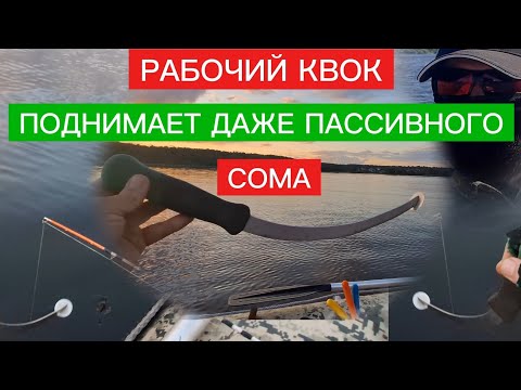 Видео: РАБОЧИЙ квок на СОМА! ОБЗОР МОИХ КВОКОВ. 