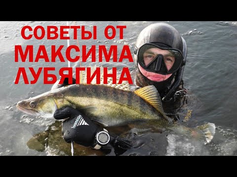 Видео: Полезные советы от Максима Лубягина. Подводная охота техника, тренировки, снаряжение, тактика охоты.