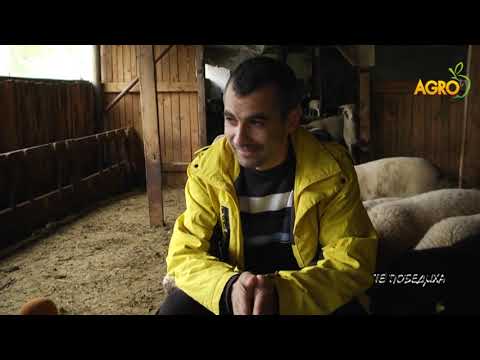 Видео: Те победиха: Потомък на родолюбци, автор: Валентина Спасова