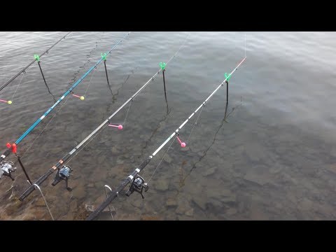 Видео: Сурское водохранилище.г.Пенза. 21.06.2019.