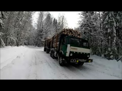 Видео: С горбылём, в Шарью