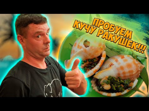 Видео: Обзор стритфуда! Таких ракушек мы еще не ели!