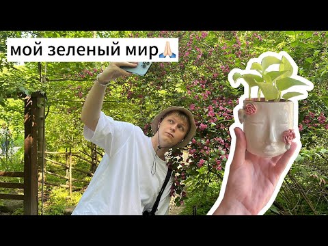 Видео: мой зеленый мир 🙏🏻 / обзор моих растений / прогулка по ботаническому саду