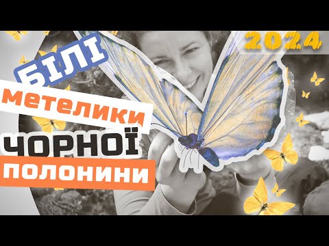 Видео: 🦋🦋🦋 БІЛІ метелики ЧОРНОЇ полонини 👻👻👻