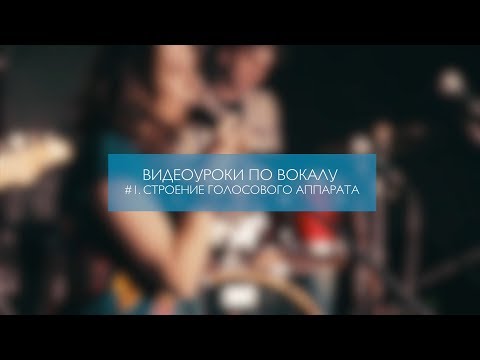 Видео: Видеоуроки по вокалу #1. Строение голосового аппарата.