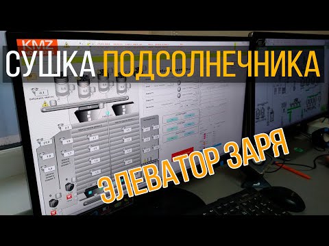 Видео: Как сушить подсолнечник | PROсушка | Элеваторист