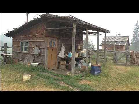 Видео: Жизнь отшельника в глухой тайге!