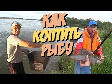 Видео: Как коптить рыбу / Рыбалка на хариуса / Потеряли улов