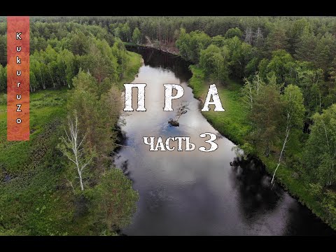 Видео: Сплав по реке Пра 3. Лесной пожар и новое слово в рыбном блогинге. КукуруЗо.