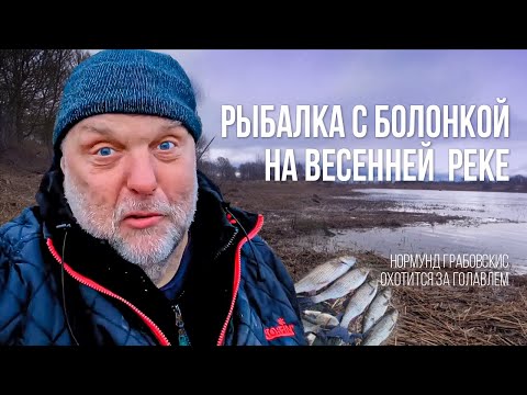 Видео: Захватывающая РЫБАЛКА в ПРОВОДКУ на весенней реке. Нормунд ГРАБОВСКИС ловит голавля и леща!