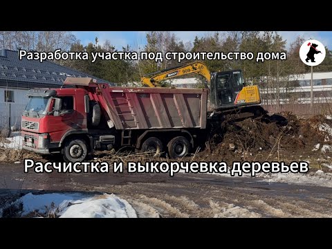 Видео: Расчистка участка от мелколесья, погрузка корней и пней. Выравнивание площадки