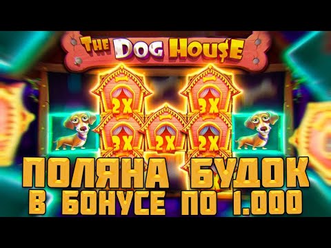 Видео: ИГРАЕМ В РАЗНЫЕ ДОГ ХАУСЫ / СЛОВИЛ МОЩНЕЙШУЮ ПОЛЯНУ БУДОК И ЗАБРАЛ ОГРОМНЫЙ ЗАНОС!