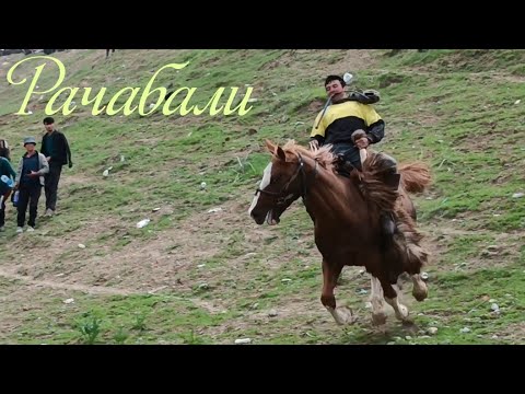 Видео: Рачабали човандоз н.Темурмалик бо аспи н.Темурмалик аспи доктор Фахрддин асп бо номи Паншер