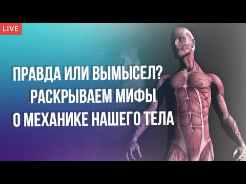 Видео: Правда или Миф? Ответы на Самые Популярные Вопросы о Движениях Тела Человека.