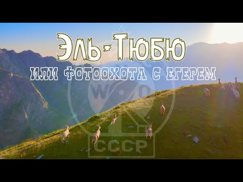 Видео: Неизведанный Эль-Тюбю или фотоохота с егерем. 4К