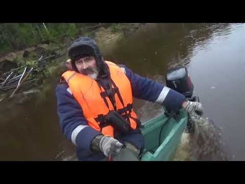 Видео: Сапоги, собака, тайга #15