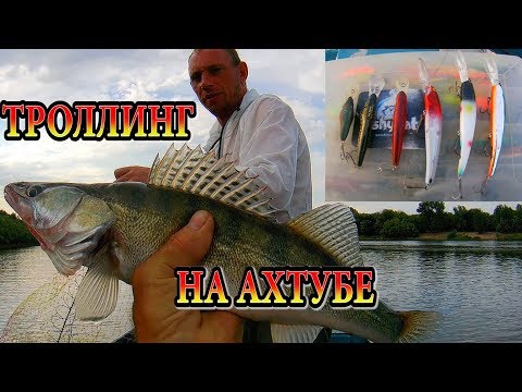 Видео: ТРОЛЛИНГ НА АХТУБЕ.  ЛОВЯТ ВСЕ!!!