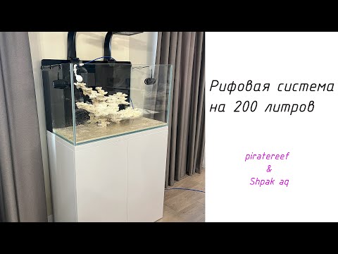 Видео: Рифовый морской аквариум на 200 литров! Piratereef & Shpak Aquriums