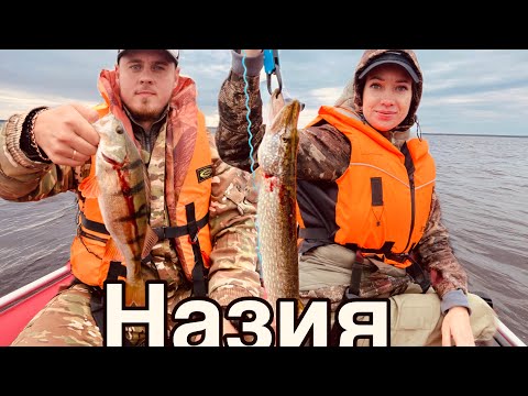 Видео: Рыбалка в Назии/Осенняя рыбалка на Ладожском озере.