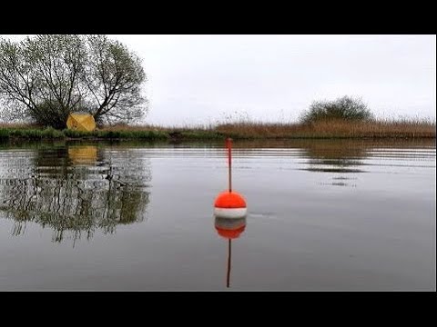Видео: ЛЕЩ ПОШЕЛ ПОТИХОНЬКУ. Рыбалка на скользящий поплавок.