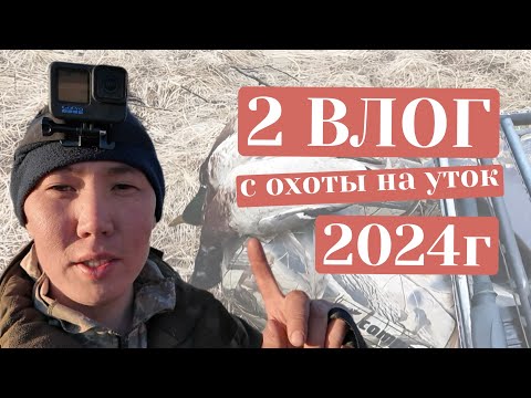 Видео: Весенняя охота на уток 2024(Хангаласский улус, с.Техтюр)