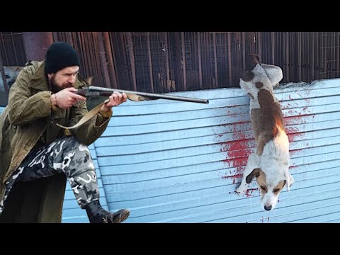 Видео: Пёс бился в конвульсиях, в то время как его хозяин взял ружьё и совершил…
