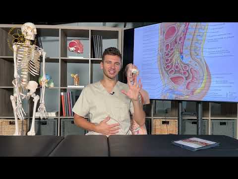 Видео: ПАЛЬПАЦИЯ И ПЕРЦЕПЦИЯ | урок 5