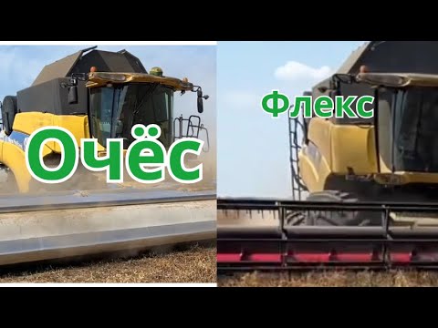 Видео: Уборка гороха! Сравнения жатки озон и кейс!#technology