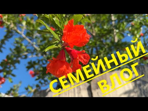 Видео: Как Изменилась Наша Пасека))) ПРИЯТНОГО ПРОСМОТРА