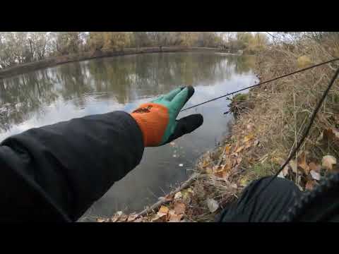 Видео: ОСЕННЯЯ ЛОВЛЯ РАКА / ОТДЫХ НА РЕКЕ  / НАЛОВИЛ И ПРИГОТОВИЛ РАКИ