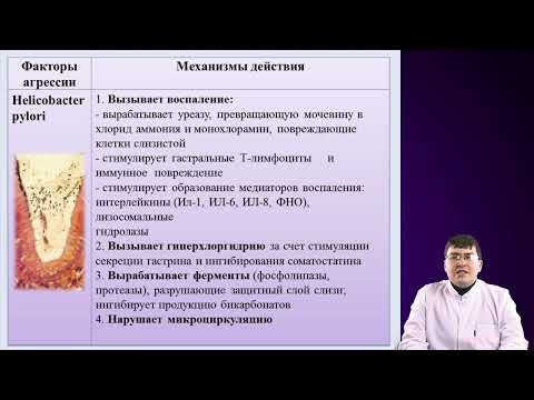 Видео: Патофизиология Язвенной болезни желудка и двенадцатиперстной кишки