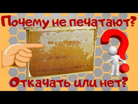 Видео: Почему пчелы не печатают мед ? - Как откачать не запечатанный мед.