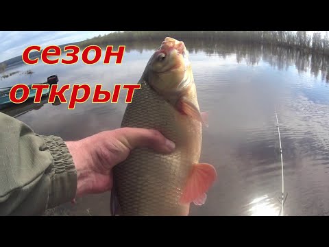 Видео: Не ждал такого открытия, рыбачим с дедом.