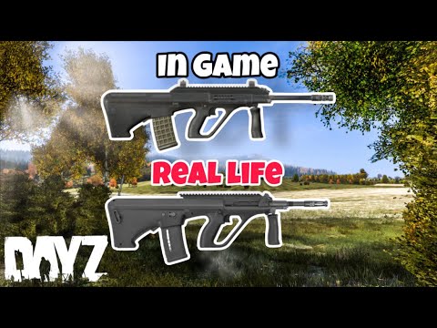 Видео: Оружие DayZ в реальной жизни